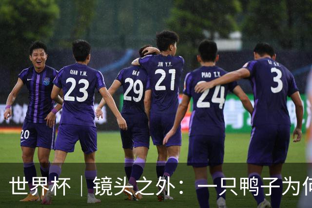 世界杯｜镜头之外：一只鸭子为何火遍世界杯？